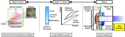 Microstructural Consequences of Blast Lung Injury Characterized with Digital Volume Correlation